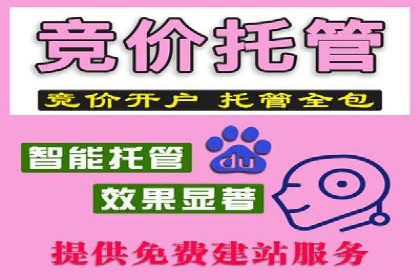 竞价推广实战案例：网络营销攻略
